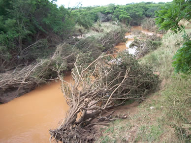 Foto: Jos Ponciano Neto